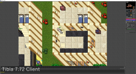 tibia772.png