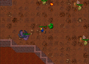 exp 1.png