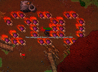 z1.png z1.png