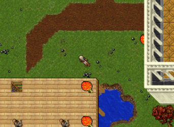 travora.png