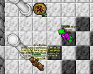 arena.jpg