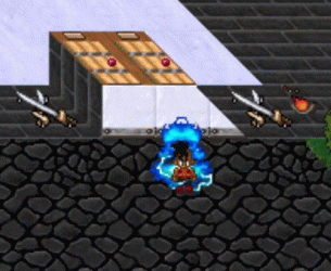 9.gif 9.gif