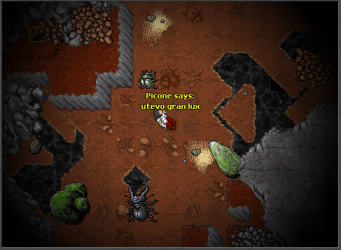 tarpi2.png