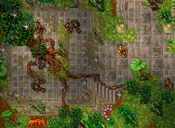 apecity2.png