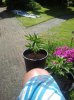 2012-05-26 16.24.37.jpg