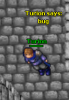 bug.PNG bug.PNG