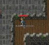 tibia se.jpg tibia se.jpg