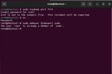 sudo.jpg