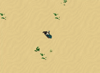 d45cd89828d493982592b77b96d4f626.gif