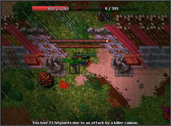 zao.PNG