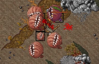 mawhawk a moby.jpg
