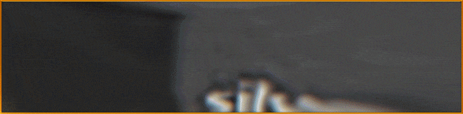 gif_horizontal-min.gif