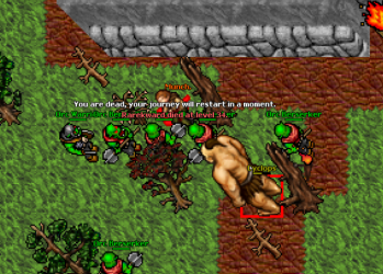 image (16).png