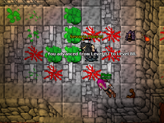 image (20).png