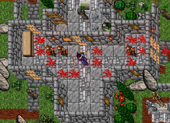 image (37).png
