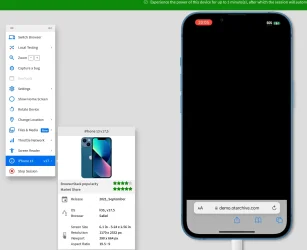 Screenshot 2024-10-13 170543.webp