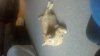 2012-07-18_18-06-57_148.jpg 2012-07-18_18-06-57_148.jpg
