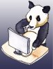 google panda.jpg