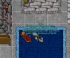 beta2.jpg