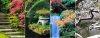 japanesegarden.jpeg