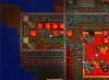 Tibia 2012-08-31 22-49-56-98.jpg