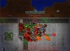Tibia 2012-08-31 22-55-14-35.jpg