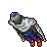 piccolo2.webp