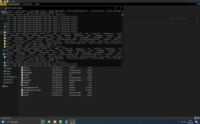 vvv.webp
