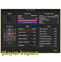 player_inspect.webp