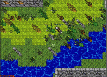 cipsoftbug.gif