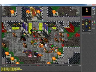 tibia.webp