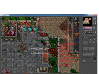 Rebirth Highexp.webp