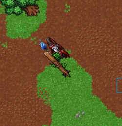 3.gif