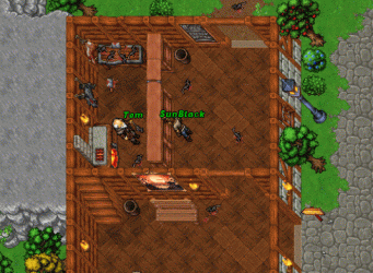 Show NPcs.gif