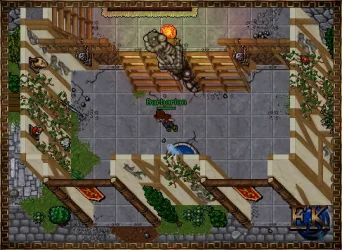 image2.webp