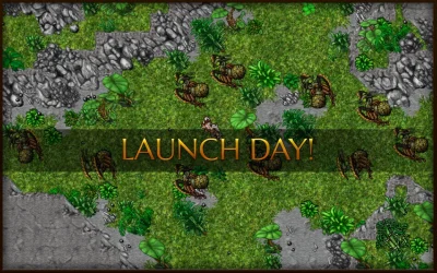 LAUNCH DAY.webp