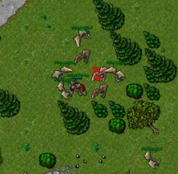image-19.webp