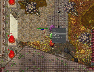 runes.gif runes.gif
