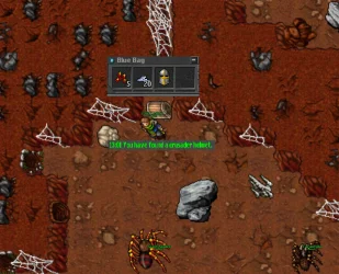 crusader helm quest.webp