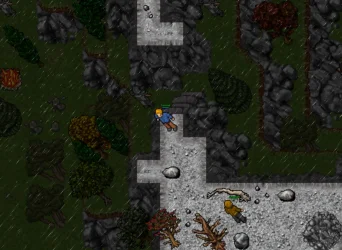 Screenshot 2026-01-15 212540.webp