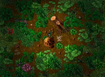 secret_Port_Hope.webp