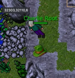 Screenshot 2026-02-06 at 02.04.52.webp