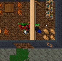 Recording 2026-02-10 181736.gif