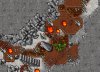 dragons.jpg dragons.jpg