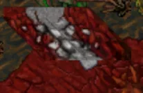 000294.webp
