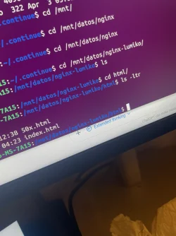 1775240516899.webp