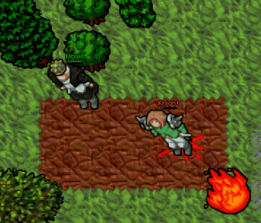 Animation.gif Animation.gif
