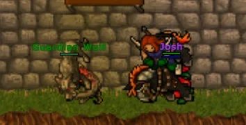 1783988970300.webp 1783988970300.webp