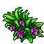 item_3753.webp