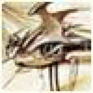breerpife